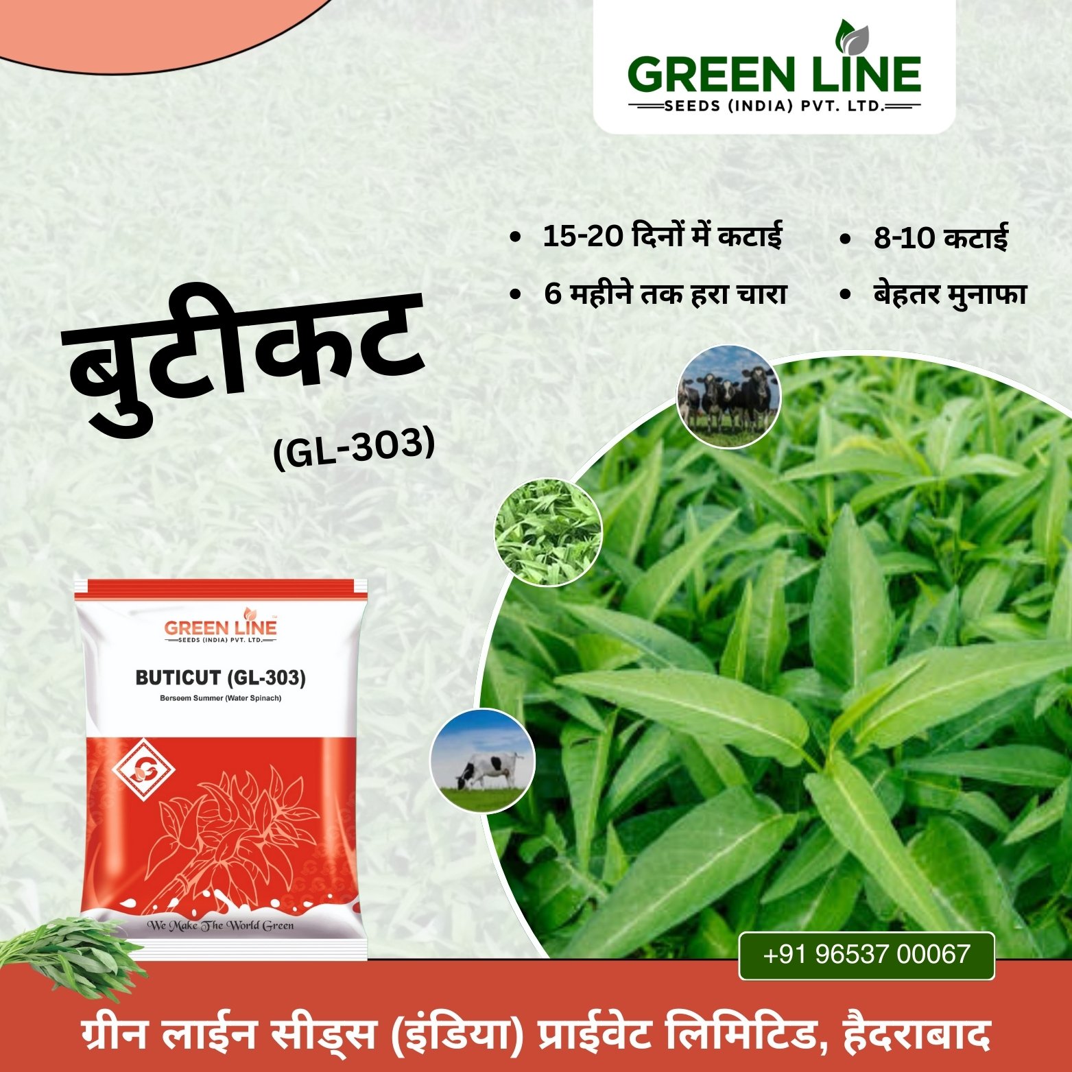 Wholesale Seed Store