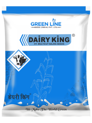 DAIRY KING (1Kg*30=30Kg)