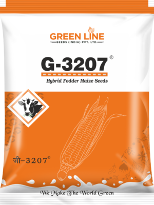 G-3207 (4Kgs*10=40kg)