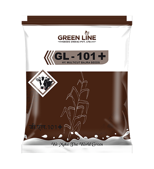 GL-101+ (1Kg*40=40kgs)