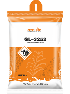 GL-3252 (5Kgs*10=50Kg)