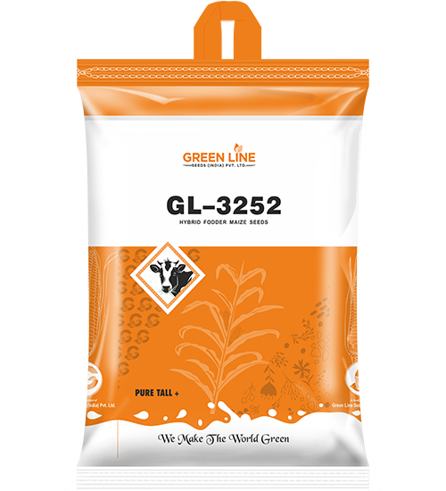 GL-3252 (5Kgs*10=50Kg)