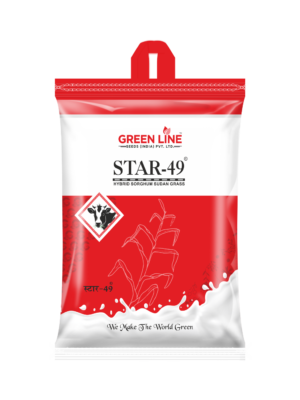 STAR – 49 (4kgs*10=40kg)