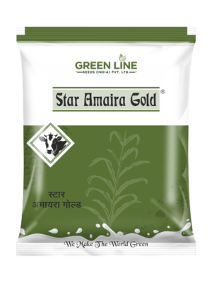 STAR AMAIRA GOLD (3Kgs*10=30Kg)
