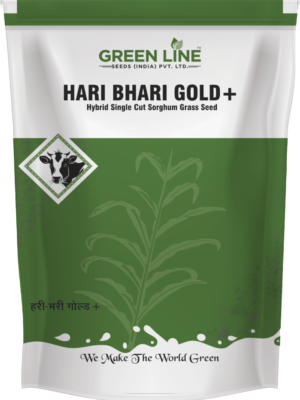 HARI BHARI GOLD + (2Kgs*20=40kg)