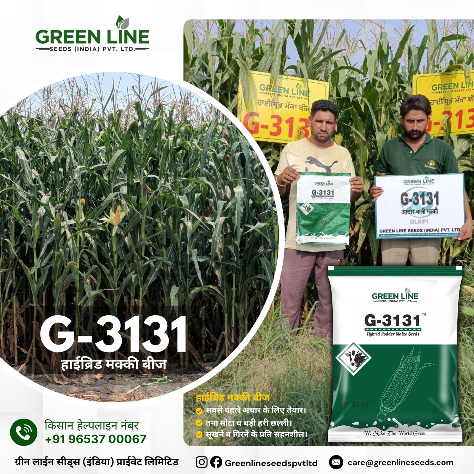 Wholesale Seed Store