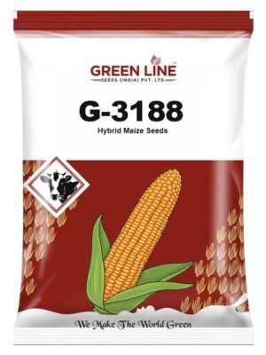 G-3188 (4Kgs*10=40Kg)