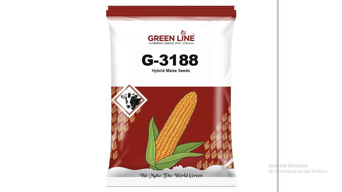 G-3188 (4Kgs*10=40Kg)