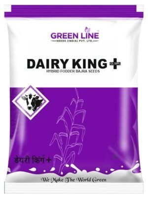 Dairy King+ (900Gms*30=27Kg)